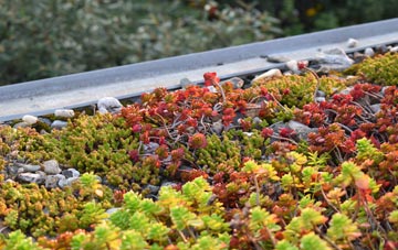 the cost of Instoneville green roof installation